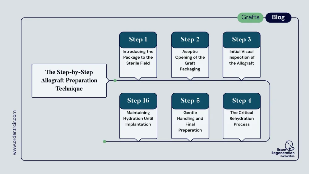 Allograft Preparation Protocol