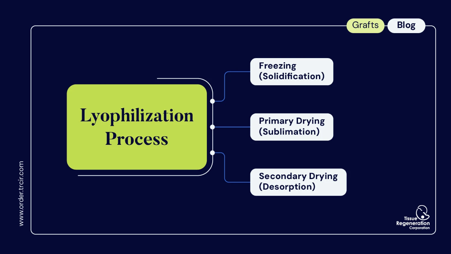 Lyophilization of Human Tissue