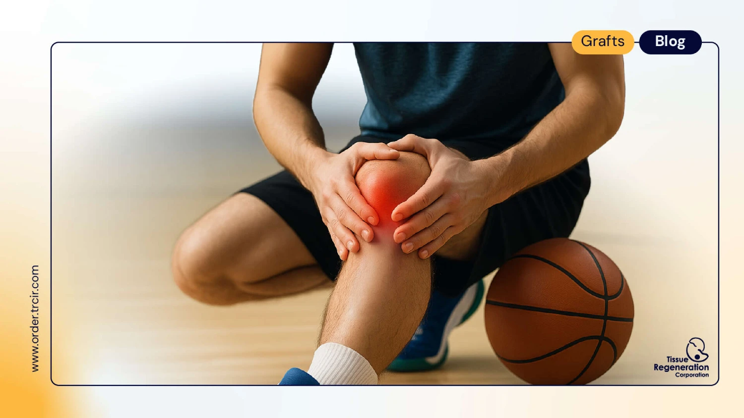Tibialis Tendon Allograft