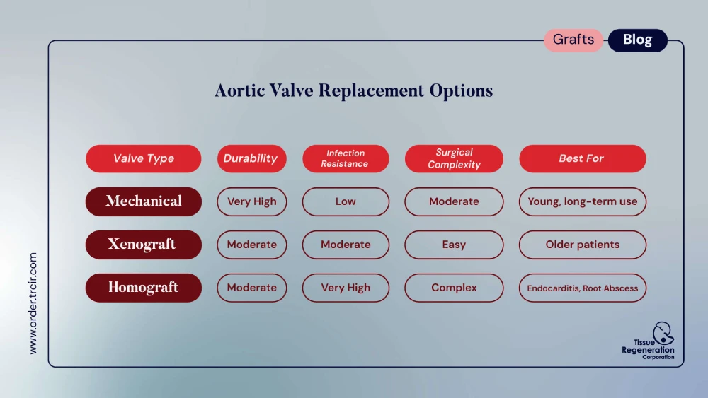 Aortic valve allogarfts