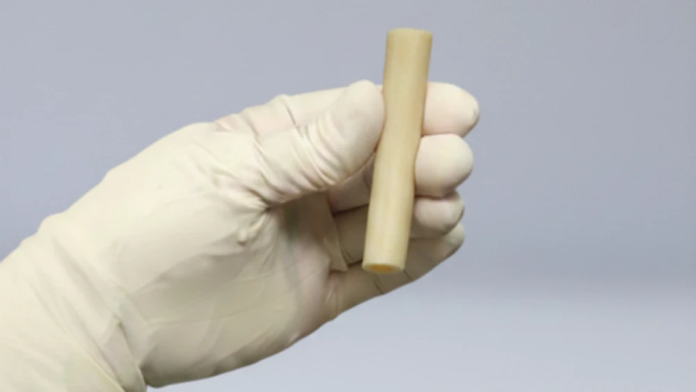 fibular shaft